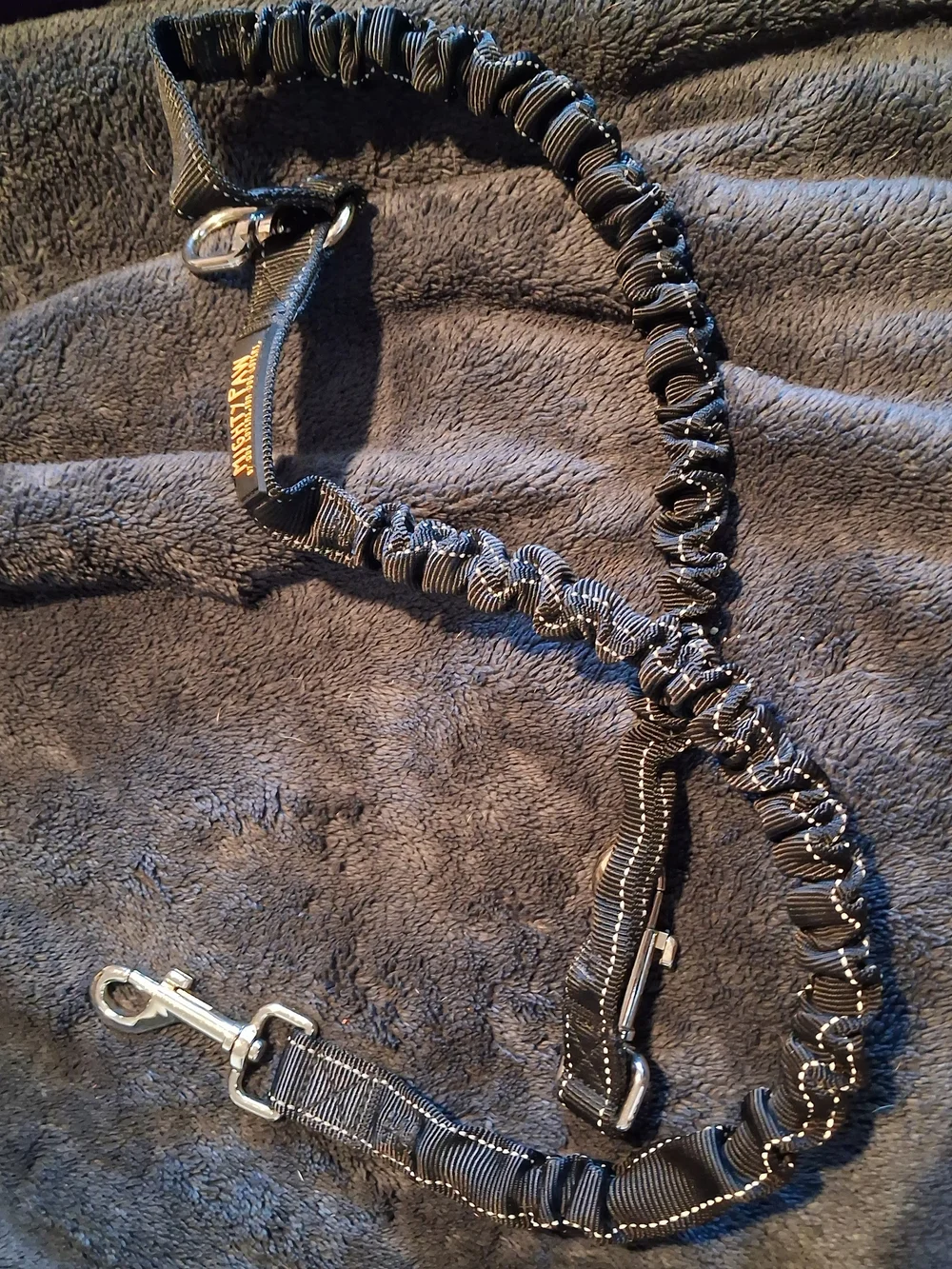 Black Reflective Double Leash - Comfortable Bungee Design